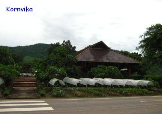 64.jpg
